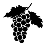 OIP__10_-removebg-preview