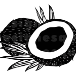 OIP__11_-removebg-preview