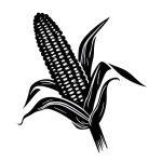 OIP__8_-removebg-preview